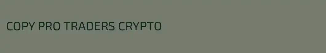 COPY PRO TRADERS CRYPTO